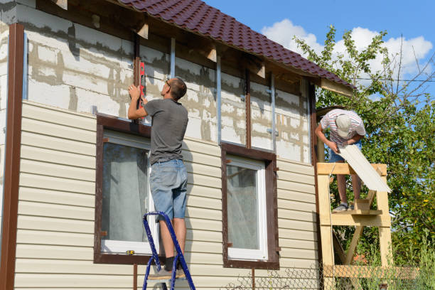 Best Steel Siding Installation  in Adwolf, VA